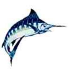 costaricafishin Profile Picture
