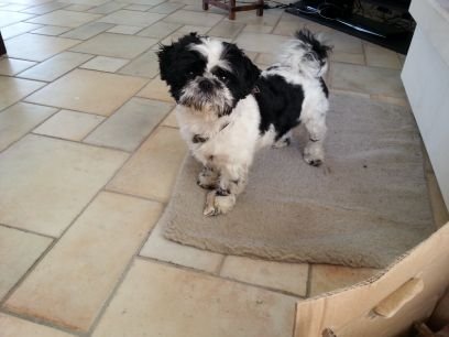 BiecMiguel's profile picture. 