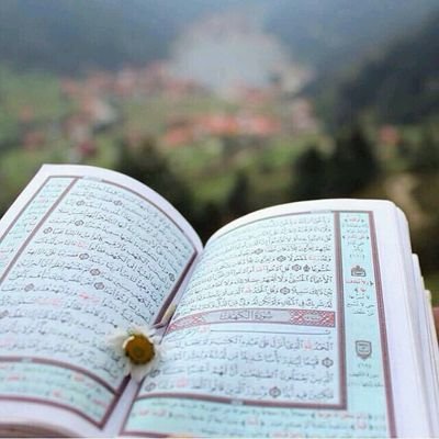 جميع الخدمات السياحية والعقارية
00905369217734