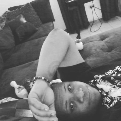 monarcajm's profile picture. 