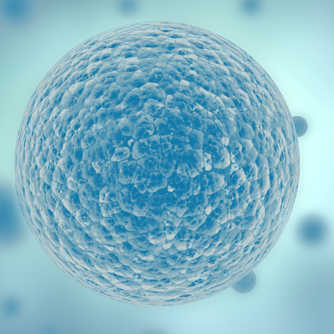 COncologica's profile picture. 