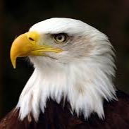 Soaring Eagle 102 (@soaringeagle102) 's Twitter Profile