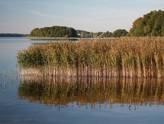 MueritzUrlaub's profile picture. 