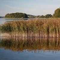 Müritz Urlaub (@mueritzurlaub) Twitter profile photo