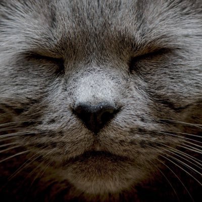 Ilse_Vwb's profile picture. 