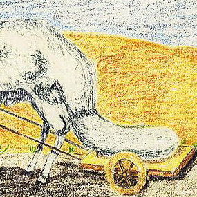 fattailed's profile picture. sheepishly