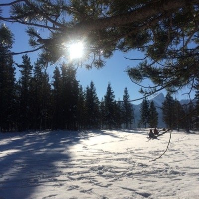 DonnaBr68094474's profile picture. 