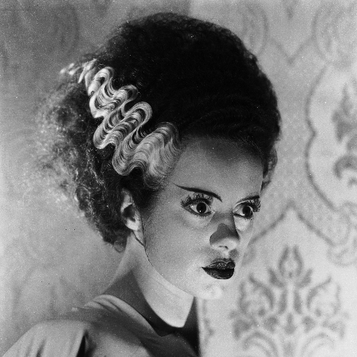 DaniGunzz's profile picture. Anything you can do, I can do too much of.