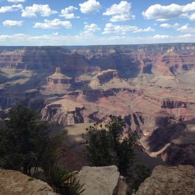 Saed727Steven's profile picture. 