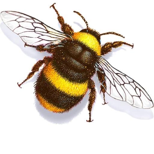 We're passionate about raising awareness and funds for the homeless and impoverished in the Tri-State region of KY, OH, and WV. humblebees@hotmail.com