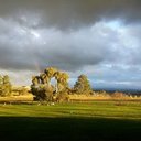 James Violi - @Calgoulas - Twitter