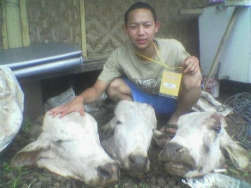 irwaseh's profile picture. 