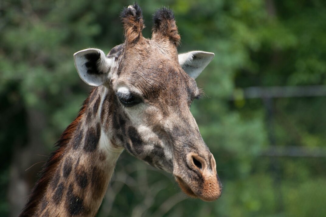 bcrook88's profile picture. 