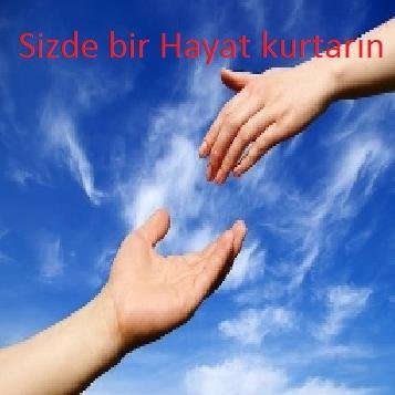 KAN ARANIYOR