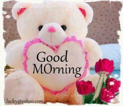 dineshk77846412's profile picture. 