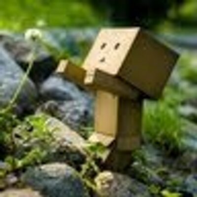 shunwang's profile image