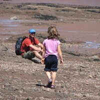 Nicolas Charest (@n_charest) 's Twitter Profile