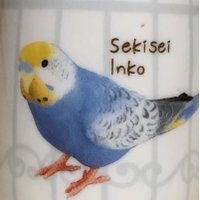あおとり (@sakuraba9753) 's Twitter Profile