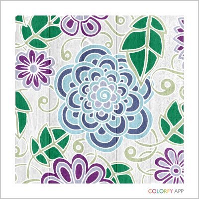 Lobo3Celia's profile picture. 