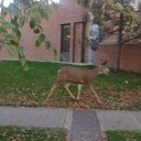 Eva Carlos - @EvaCarlos8 - Twitter