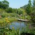 Norwell Nurseries (@norwellnursery) Twitter profile photo Norwell Nurseries (@norwellnursery) Twitter profile photo