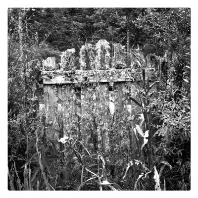 kbitran's profile picture. 