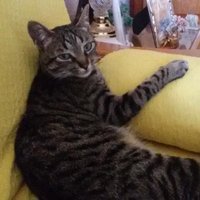 María y Alejandro (@maria3alex) 's Twitter Profile