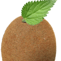 kiwictf's profile picture. Hack Dat Kiwi is a new CTF franchise focusing on quality and frustration-free challenges! #hackdatkiwi #kiwictf