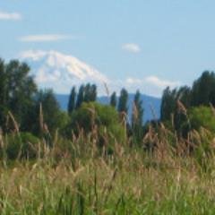 Living well, by living lightly, in the Sammamish Valley
.
#RESILIENCE #COMMUNITY #WELLBEING