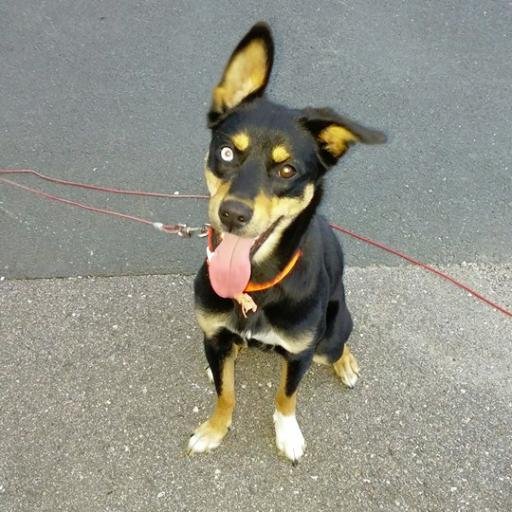 carmelvienneau's profile picture. Loves entering contests