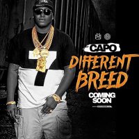 CAPO (@darealcapo) 's Twitter Profile