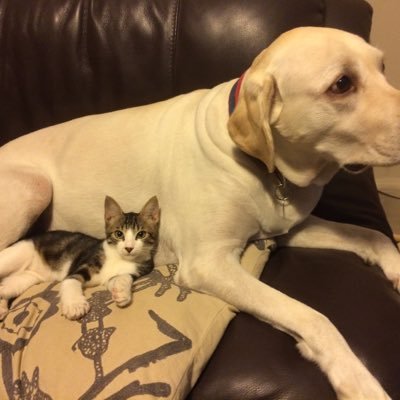 mandmhollander's profile picture. 