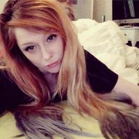 kitbot (@kit__bot) 's Twitter Profile
