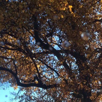 Killingthegame5's profile picture. I tweet about 815 area bullshit. if you want, send me sum submissions.