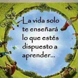 13bluewin's profile picture. 