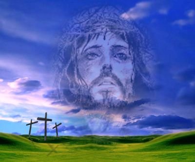 reseawell's profile picture. 