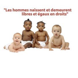 papadiepa's profile picture. 