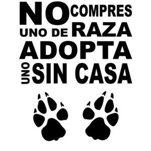 Todo animal en esta vida tiene derecho a vivir y a una segunda oportunidad, no los abandones ni los maltrates ellos nunca lo harían. ¡ADOPTA NO COMPRES! ❤