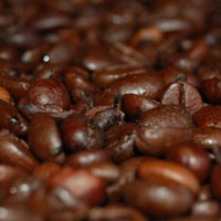 Blue J Coffee Co. (@bluejcoffee) 's Twitter Profile