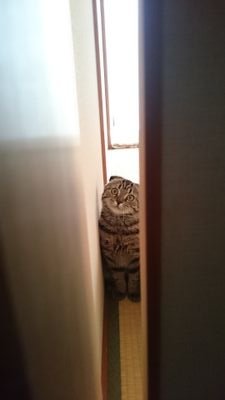 hidekunnomama's profile picture. ３人家族です♪