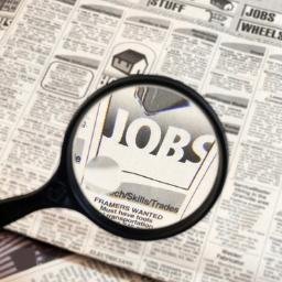 ist_jobvacancy's profile picture. 