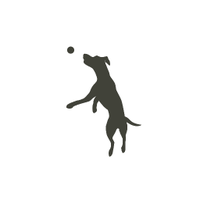 BrendaLeipsicDogPark (@brendaleipsicdp) 's Twitter Profile