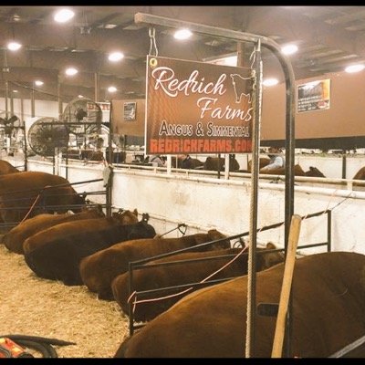 Purebred Red Angus & Simmental Breeders, Annual bull sale in March, visit us at cattle shows such as CWA, FarmFair, and RedRoundUp.