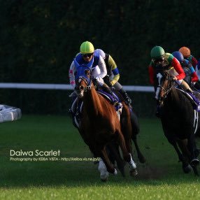 牝馬二冠制覇＋エリ女＋有馬 俗に言う四冠(G1 4勝) 今は母として活躍中‼︎ ライバルはウオッカただ一頭‼︎ アンカツさんとは名コンビと言われる。自慢は連対を一度も外したことがないこと。現役最強牝馬の称号は私だ‼︎‼︎‼︎ よろしく〜〜‼︎‼︎ @10128america⇨スタホ垢