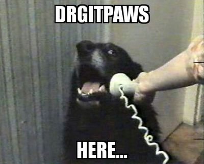 DrGitpaws Profile Picture