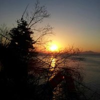 backsaji (@backsajikku3man) 's Twitter Profile