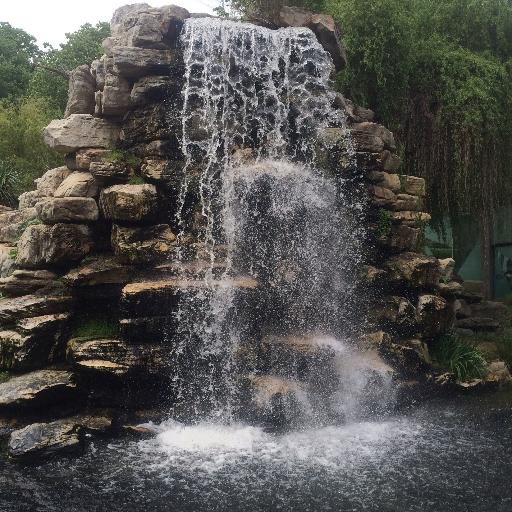 TityoSatya's profile picture. 