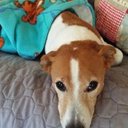 Cindy Smart - @murphysmt44 - Twitter