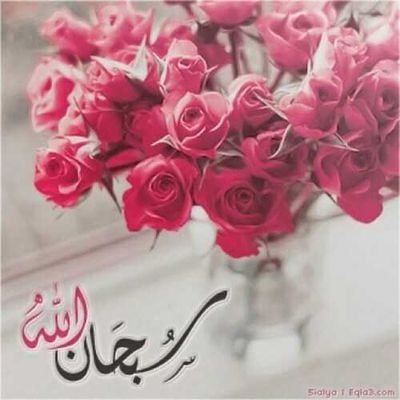 UM_ahmed566's profile picture. ‏ربي اجعل امي سعيدة الدارين ، قريرة العينين
لا تشكي هما ولا حزنا ولا مرضا.