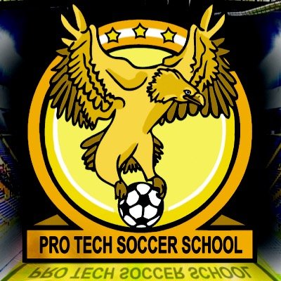 Official Twitter feed for Pro Tech Soccer School. Providing schools & children in the local community with professional Football coaching and other services. ⚽️